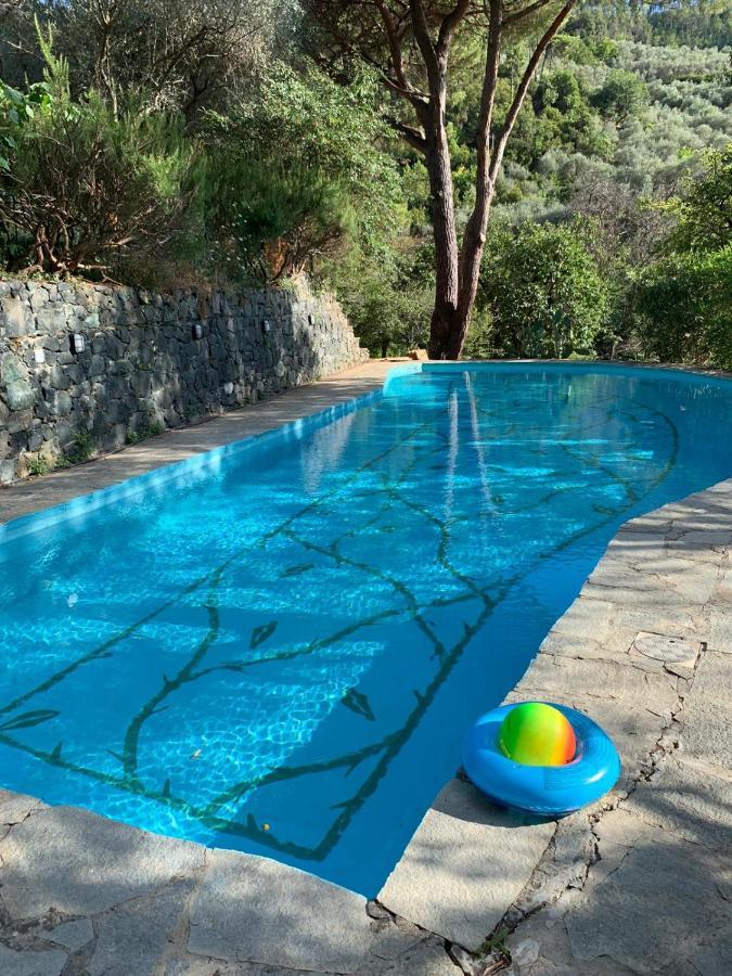 Vecchio Mulino Rosa Otel Chiesanuova  Dış mekan fotoğraf